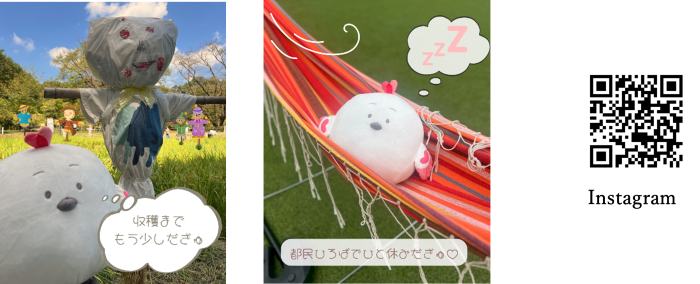 Instagram画像とQRコード