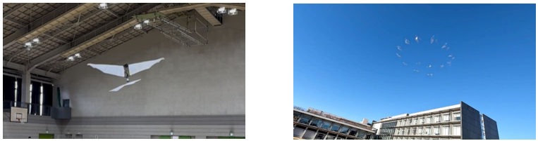 羽ばたきドローン飛行の様子