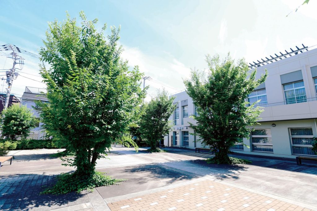 上智大学目白聖母キャンパス