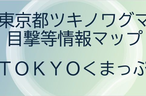 TOKYOくまっぷ