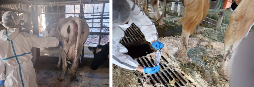 オンライン画像診断の撮影の様子